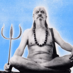 The Supreme Reality by Shri Gurudev Mahendranath