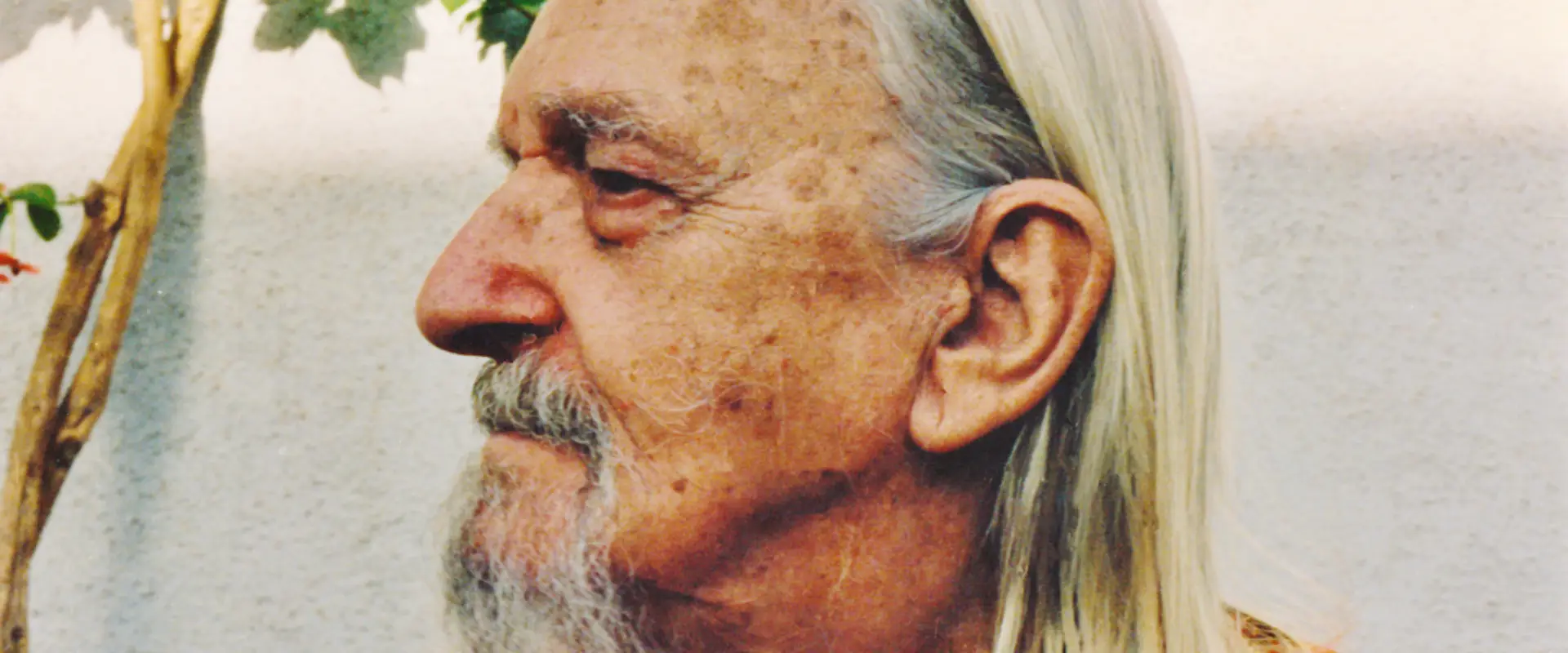 Shri Gurudev Mahendranath profile